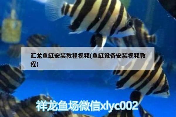 汇龙鱼缸安装教程：汇龙鱼缸安装教程详细安装教程，汇龙鱼缸安装教程