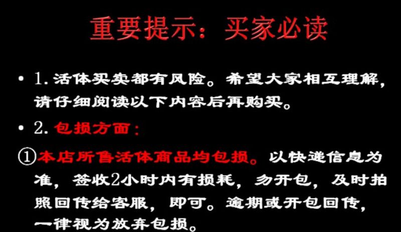 金龙鱼的品牌理念是什么意思：金龙鱼的品牌理念是什么&回答五个疑问 水族问答 第2张