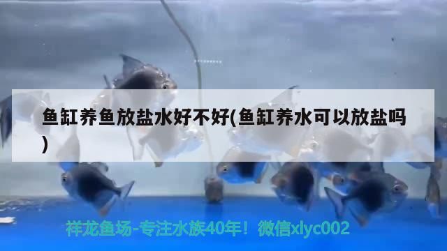 龙鱼缸如何开缸养水：鱼缸开缸养水的基本步骤