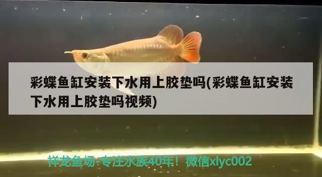 佳宝鱼缸型号及价格 鱼缸百科 第3张