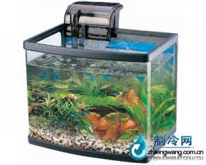 佳宝鱼缸型号及价格 鱼缸百科 第4张