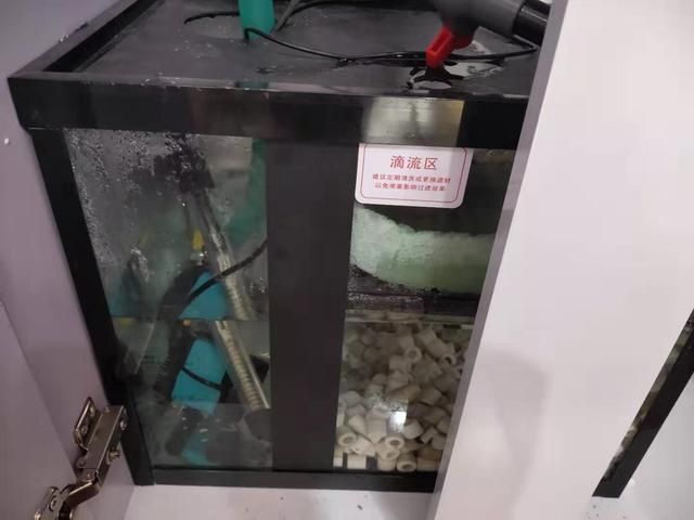 鱼缸水泵不好启动是什么原因：鱼缸水泵不好启动可能由多种因素引起鱼缸水泵不好启动 鱼缸百科 第2张