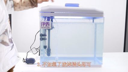 如何监测鱼缸内溶氧量：监测鱼缸内溶氧量对于确保水质和鱼类健康至关重要