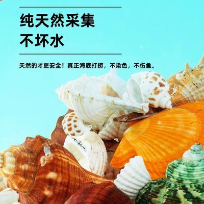 鱼缸底砂铺设后养护要点：鱼缸底砂铺设后需要注意的养护环节 鱼缸百科 第5张