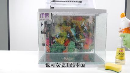 鱼缸杀菌消毒剂：鱼缸杀菌消毒剂使用方法和注意事项