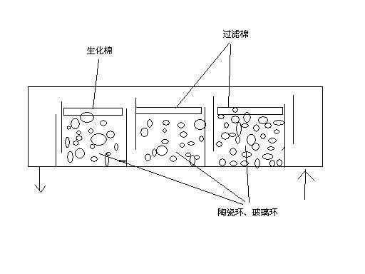 鱼缸滤盒都放什么：关于鱼缸滤盒的摆放 鱼缸百科 第5张