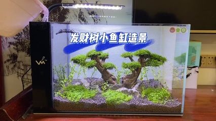 江森水族鱼缸是品牌吗知乎：江森水族与森森sunsun对比 鱼缸百科 第3张