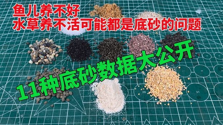 鱼缸底砂维护的常见问题：鱼缸底砂清洁工具