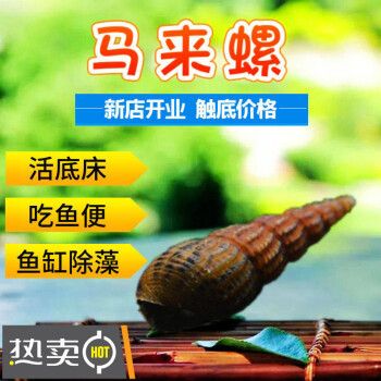 荣郁鱼缸：荣郁鱼缸怎么样？ 鱼缸百科 第1张