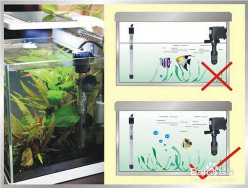 鱼缸加热棒使用视频：鱼缸加热棒使用方法 鱼缸百科 第5张