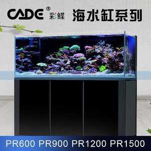 水族箱尺寸选择指南：如何选择合适的水族箱尺寸