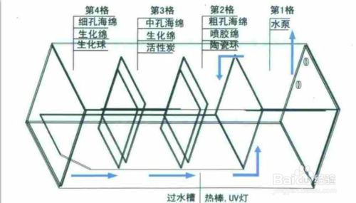 鱼缸过滤棉怎么放过滤效果好视频：如何在鱼缸中正确放置过滤棉 鱼缸百科 第5张