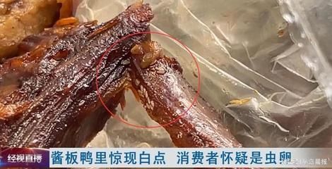 龙鱼身上有小白点是什么虫卵：龙鱼白点病治疗期间的注意事项龙鱼白点病治疗期间的注意事项