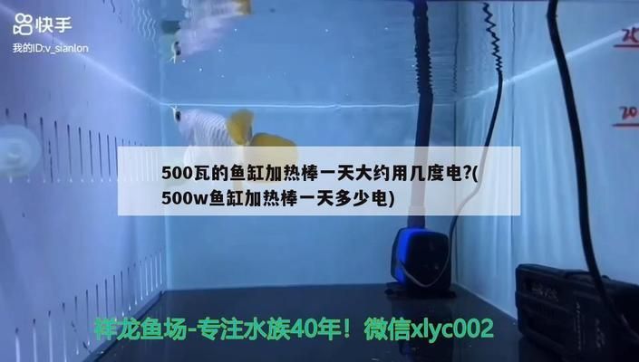 祥龙电器鱼缸时间设置怎么调整：如何重置祥龙鱼缸定时器 鱼缸百科 第5张