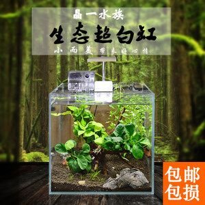 晶一鱼缸哪里买：晶一鱼缸用户评价汇总 鱼缸百科 第3张