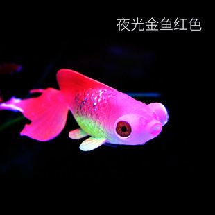 水母 鱼缸：水族景观工程案例欣赏，水母缸日常维护要点 鱼缸百科 第2张