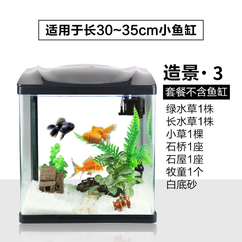 金龙鱼的珠鳞有几排：金龙鱼的珠鳞是怎样排列的？ 水族问答 第2张