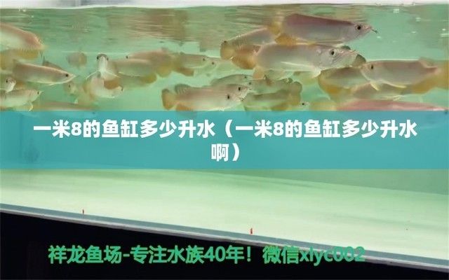 一米阳光鱼缸多少升水啊：一米阳光鱼缸多少升水 鱼缸百科 第3张