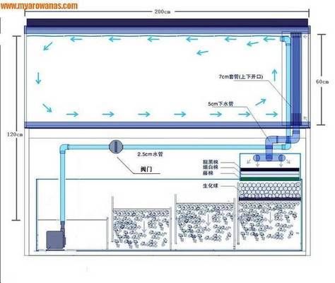 鱼缸过滤泵流量计算方法：如何计算鱼缸过滤泵的流量 鱼缸百科 第2张