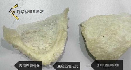 金龙鱼调味品：关于金龙鱼调味品的疑问 水族问答