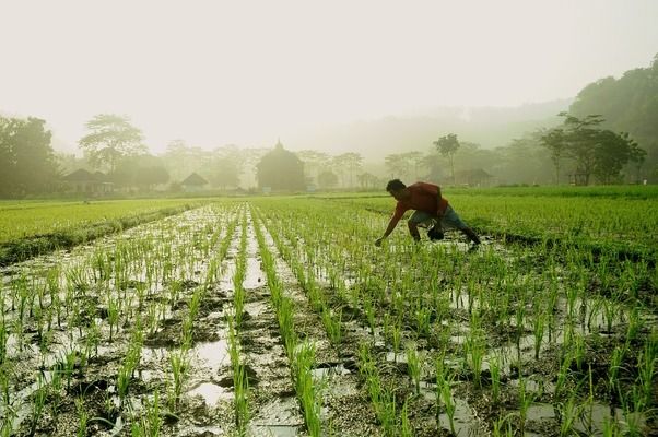 小米鱼缸水泵能换吗：小米鱼缸水泵可以更换吗 鱼缸百科 第3张