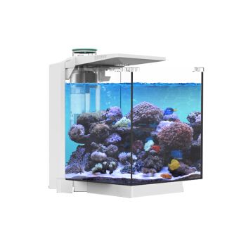 鱼缸e0：海洋之星鱼缸e0型号对比评测水族宝宝鱼缸内部造景技巧分享 鱼缸百科 第2张