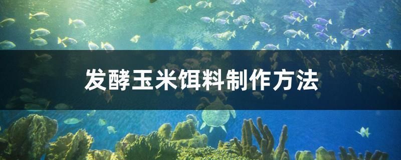 印尼小红龙鱼价格走势如何分析：印尼小红龙鱼价格走势分析 红龙鱼百科 第4张