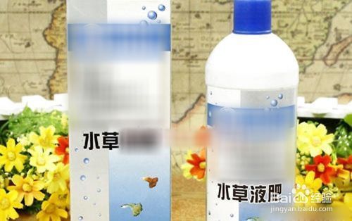 鱼缸水草肥料选择指南：鱼缸水草肥料的选择是维持水草健康生长和水质清洁的关键 鱼缸百科 第5张