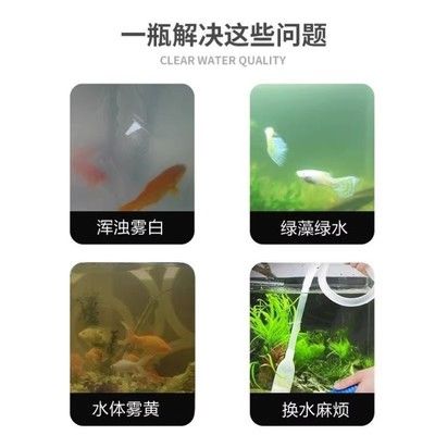 鱼缸水质净化剂副作用：鱼缸水质净化剂正确使用指南 鱼缸百科 第3张