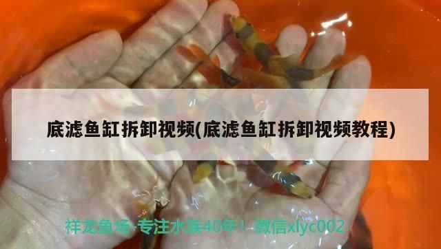 底滤鱼缸怎样拆卸安装：底滤鱼缸怎样拆卸安装详情