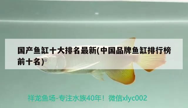 品牌鱼缸排行榜最新：2025年最新发布的鱼缸品牌排行榜 鱼缸百科 第4张