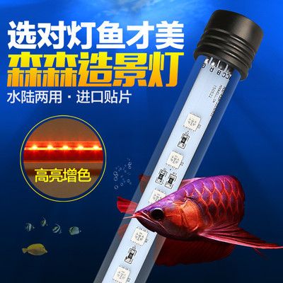 鱼缸灯管多少钱一个：鱼缸灯管价格 鱼缸百科 第3张