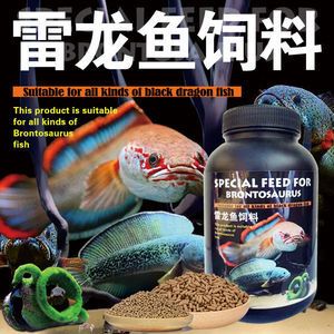 金龙鱼多长时间换一次水合适：金龙鱼多久换一次水？ 水族问答 第1张