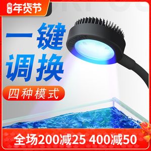 鱼缸爆藻灯厂家：鱼缸爆藻灯厂家选择标准及其重要性 鱼缸百科 第5张