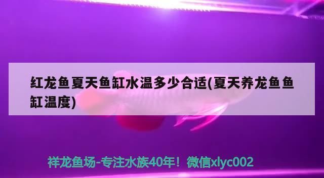 红龙鱼水温30度咋样钓：红龙鱼养殖空间要求 红龙鱼百科 第2张