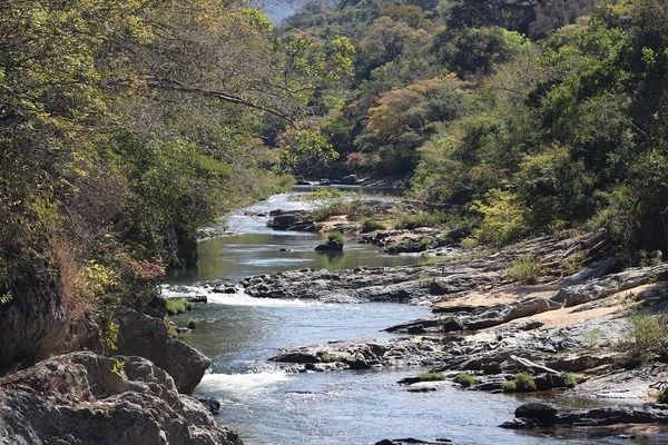 森森鱼缸系列分类：森森鱼缸系列分类介绍 鱼缸百科 第4张