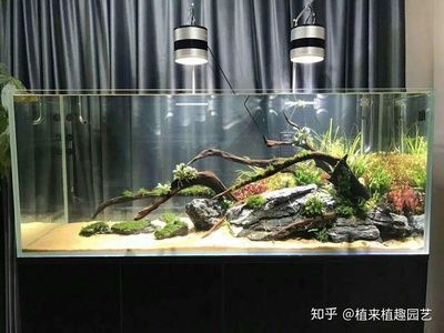 水族箱照明设备选型：水族箱智能照明系统价格 龙鱼百科 第3张