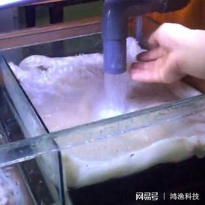 鱼缸澄清剂使用方法图解：鱼缸水质检测方法，鱼缸澄清剂的使用方法 鱼缸百科 第1张