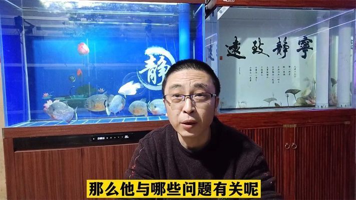 什么样的鱼缸容易爆缸：容易爆缸的鱼缸类型和预防措施，鱼缸安全加固方法有哪些 鱼缸百科 第3张