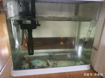 鱼缸抽水泵怎么安装视频：如何安装鱼缸抽水泵 鱼缸百科 第4张