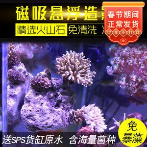 鱼缸珊瑚造景过程视频大全：鱼缸珊瑚造景视频大全视频大全涵盖了鱼缸珊瑚造景的全过程 鱼缸百科 第1张