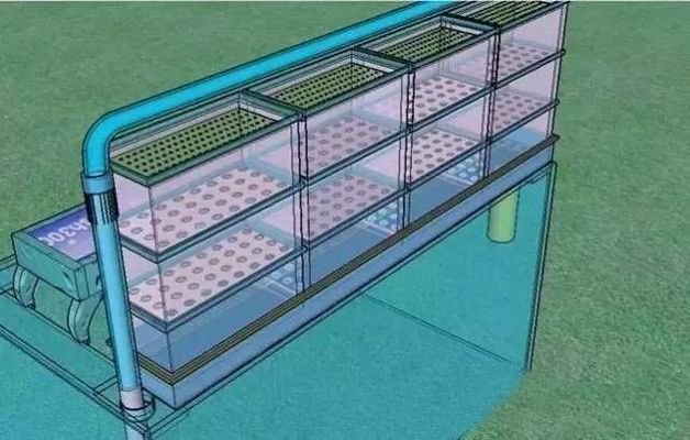 如何监控鱼缸水温变化：鱼缸温度计、加热器或冷却器、水族专用冷水机使用指南