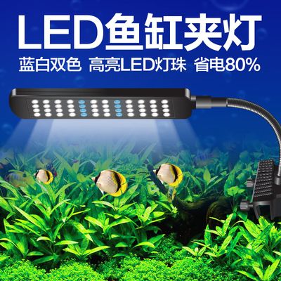 鱼缸LED灯节能效果对比：如何选择适合鱼缸的led灯 鱼缸百科 第4张