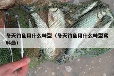 金龙鱼高筋麦芯粉5kg价格：5kg金龙鱼高筋麦芯粉的零售价是多少？ 水族问答 第2张