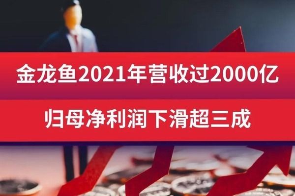 上海红龙鱼专卖店2021年营收：2021年上海红龙鱼专卖店2021年营收435,000元