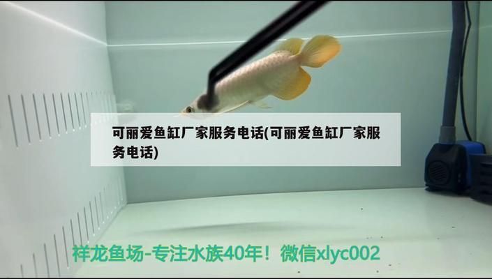 可丽爱鱼缸官网专卖店电话：可丽爱鱼缸售后服务电话 鱼缸百科 第3张