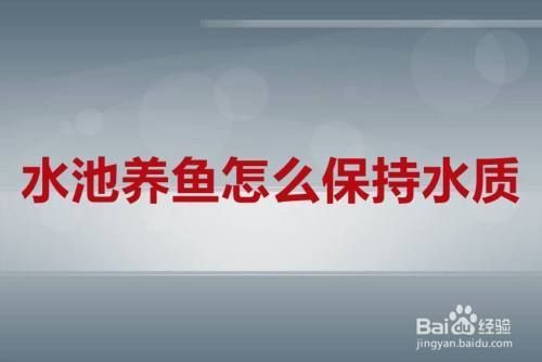 鱼缸水质维护要点：鱼缸水质的重要性 鱼缸百科 第1张