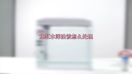 鱼缸澄清剂什么牌子好用：好用的鱼缸澄清剂有哪些？ 鱼缸百科 第4张