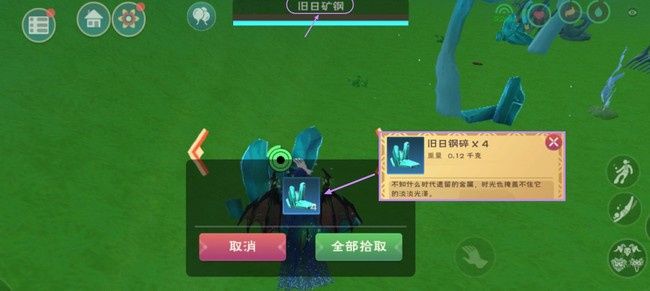 创魔鱼缸摆件的简易制作方法图片：创造与魔法鱼缸摆件的简易制作方法 鱼缸百科 第5张