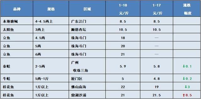 金龙鱼估值上万亿是多少人民币 水族问答 第2张